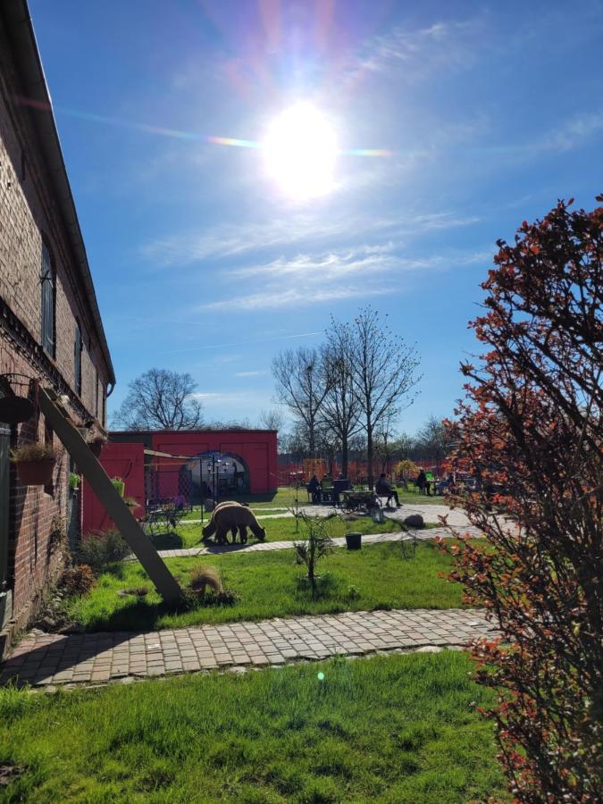 Maerchenhaft Urlauben Auf Dem Alpakahof Apartment Rambow Luaran gambar