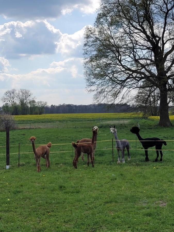 Maerchenhaft Urlauben Auf Dem Alpakahof Apartment Rambow Luaran gambar