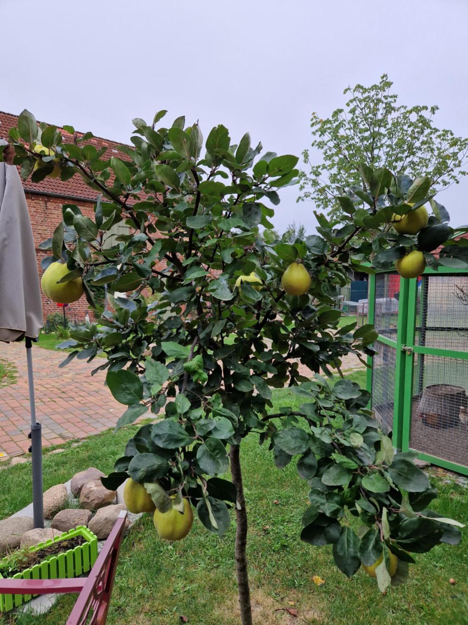 Maerchenhaft Urlauben Auf Dem Alpakahof Apartment Rambow Luaran gambar